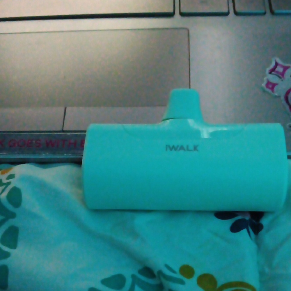 Apple iWalk Charger - Aqua